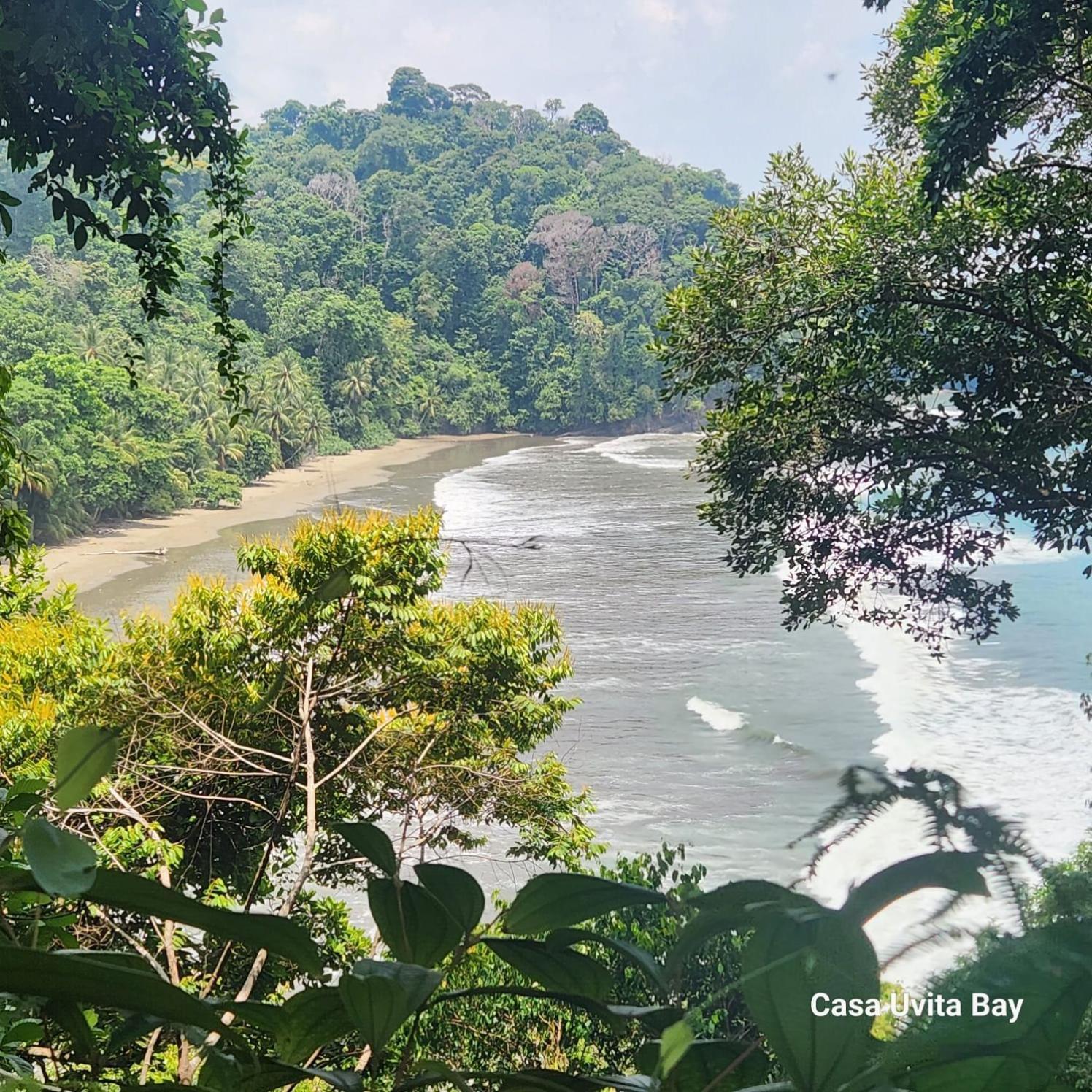 Casa Uvita Bay المظهر الخارجي الصورة